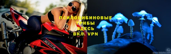 трава Ладушкин