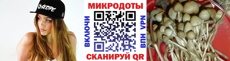 Псилоцибиновые грибы прущие грибы  Воткинск 