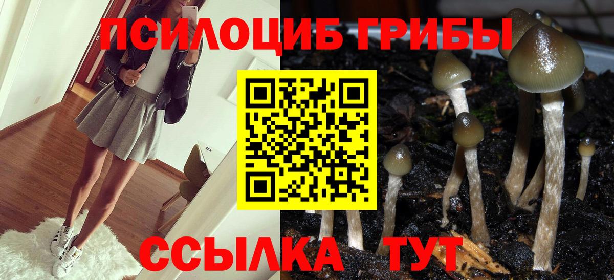 Галлюциногенные грибы Cubensis Воткинск